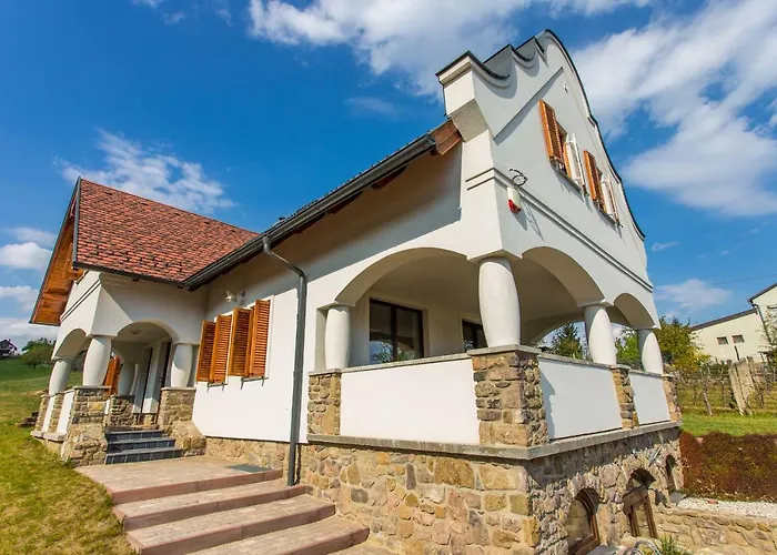 Vivaza 西格利盖特